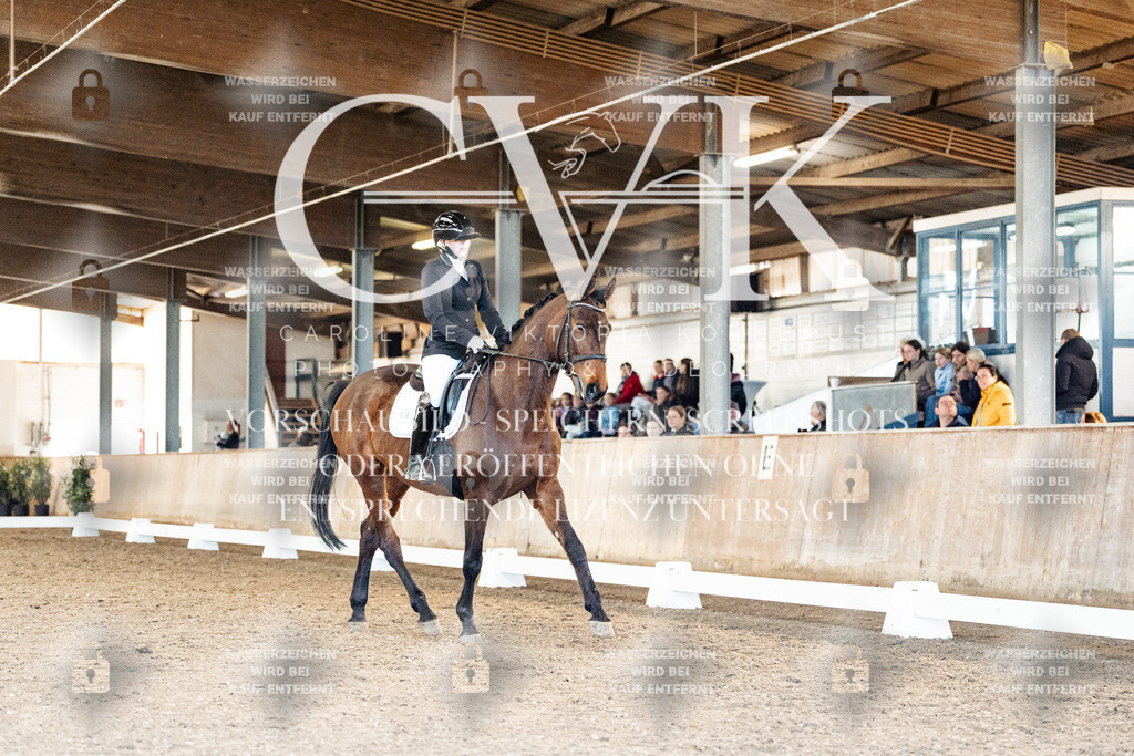 CK908834 | Turnierfotografie Pferdefotografie Trier Rheinland-Pfalz Pferdesport Reitsport Tierfotografie Sportfotografie Pferdevideo Pferdevideografie Equestrianvideography equestrianphotography  - Realisiert mit Pictrs.com