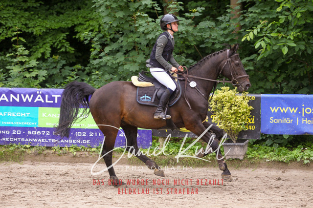 DKP44960 | Turniersportfotografie; Pferdefotografie; Dressurfotografie