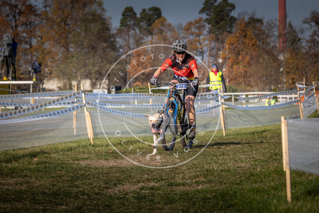 CaniXpix_0L8A7452 | Hundefotografie, Tierfotograf, Pfotenfotografie, Fotoshooting Hund, Hunde Portrait, Hundesport, Hundeportraits, Heideshooting, Hunde, Sportfotograf, Hundefotograf, Turnierhundsport, THS,  - Realisiert mit Pictrs.com