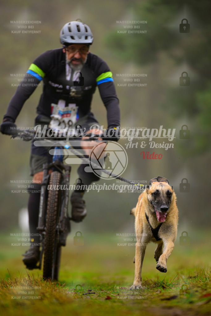 MompixPhotography_Bischwiller2025_Bike-36 | mompixphotography