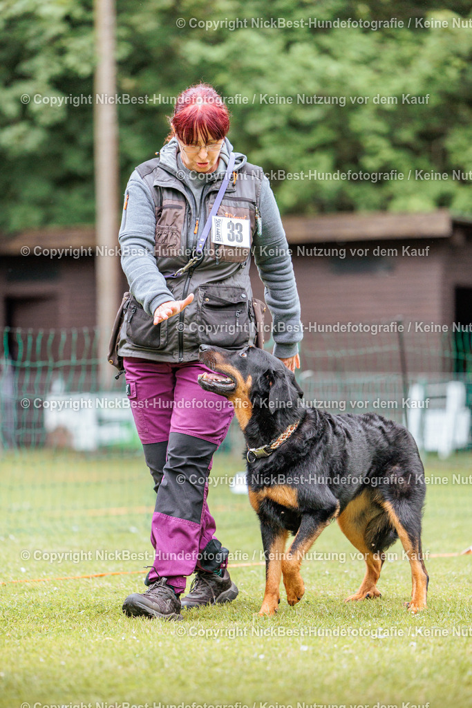 RO-Blumenthal-2026-Nickbest-Hundefotografie-2710 | Dein Hund! Dein Moment! Deine Erinnerungen! Hundefotografie in Bremen Blumenthal. Ich fange die besonderen Momente deines Vierbeiners ein – ob Indoor mit Blitzanlage oder in der freien Natur. Sicher dir dein Moment und dein Termin für eure Erinnerungen.