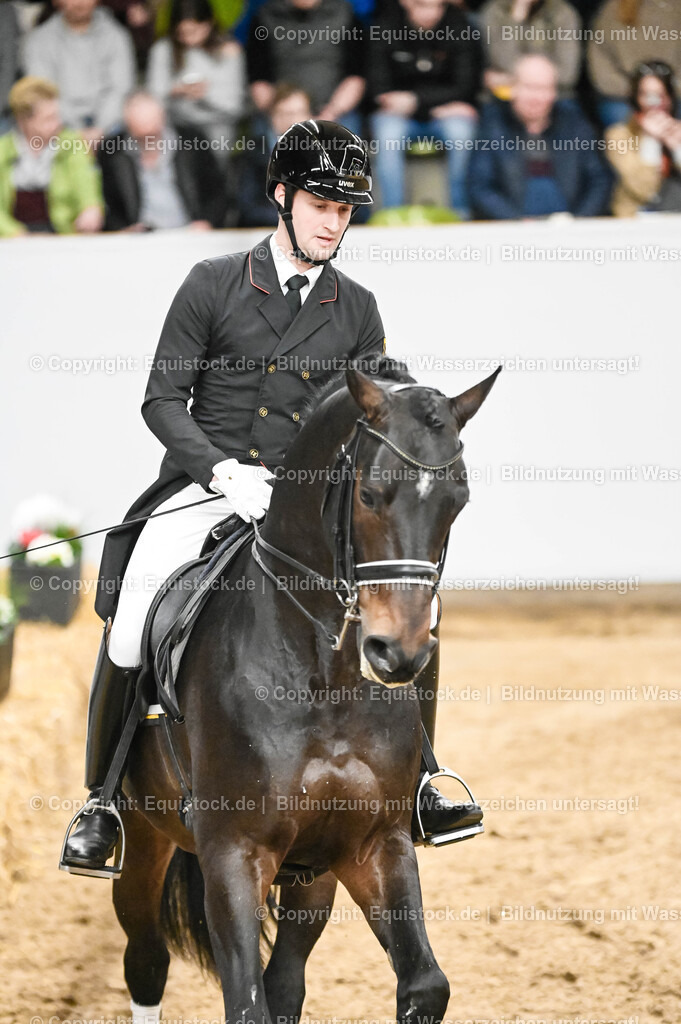 20260307_Hengstvorstellung-Marbach_0211 | equistock