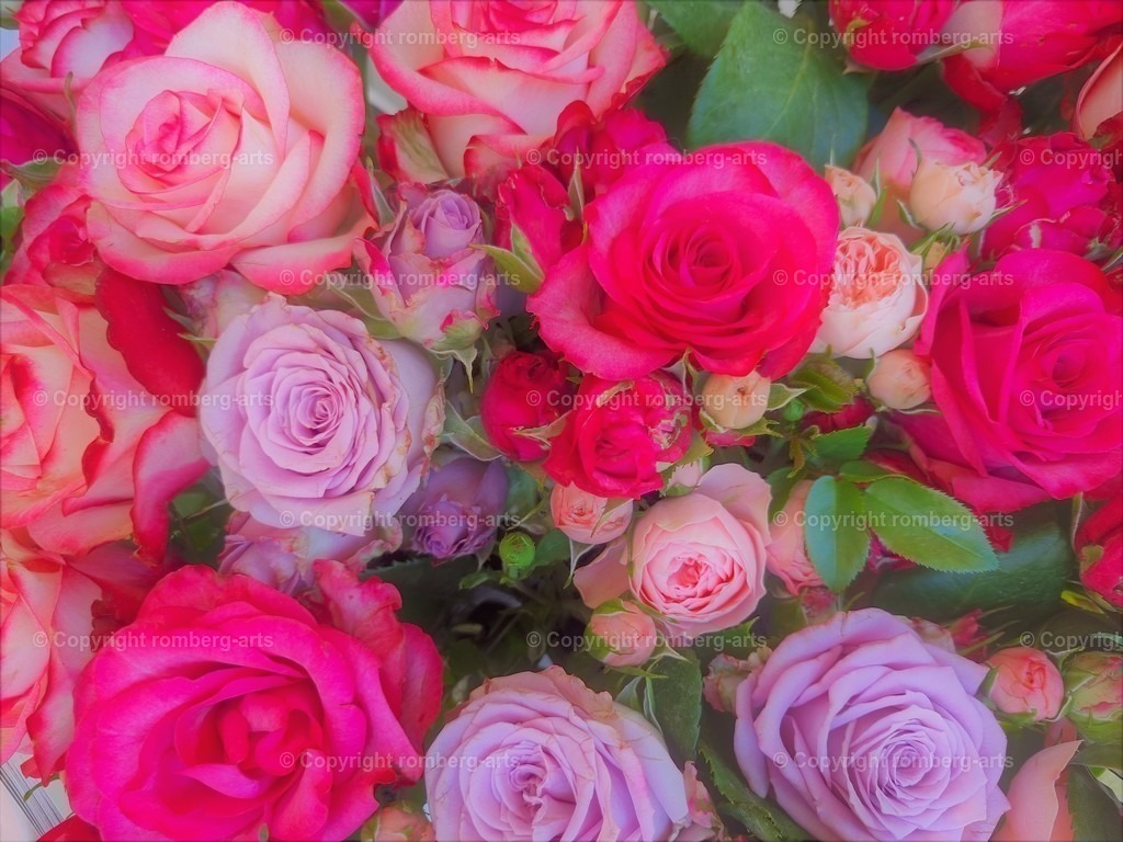 Roses4 | Romantische Rosen, Pastellrosen, Rosenstrauß, romantischer Blumenstrauß