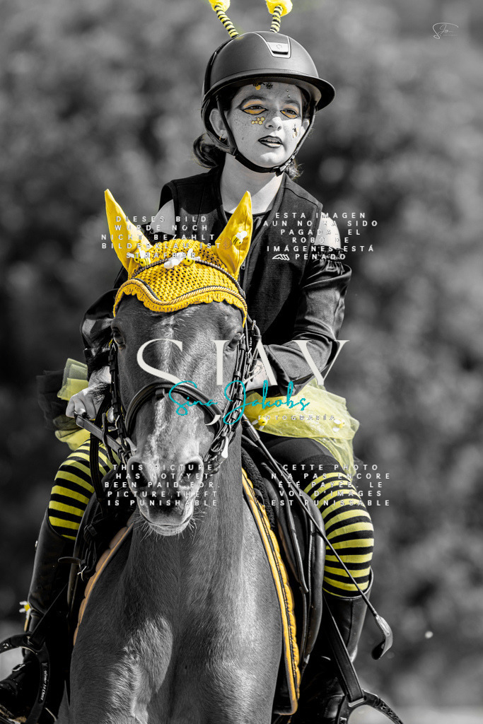 IMG_2185 | s-jay-photography - Realisiert mit Pictrs.com