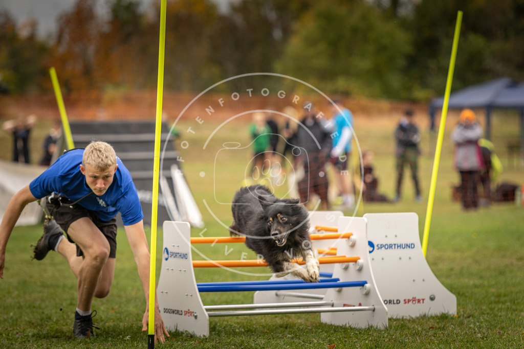 Pfotenfotografie_DV3A6165 | Hundefotografie, Tierfotograf, Pfotenfotografie, Fotoshooting Hund, Hunde Portrait, Hundesport, Hundeportraits, Heideshooting, Hunde, Sportfotograf, Hundefotograf, Turnierhundsport, THS,  - Realisiert mit Pictrs.com