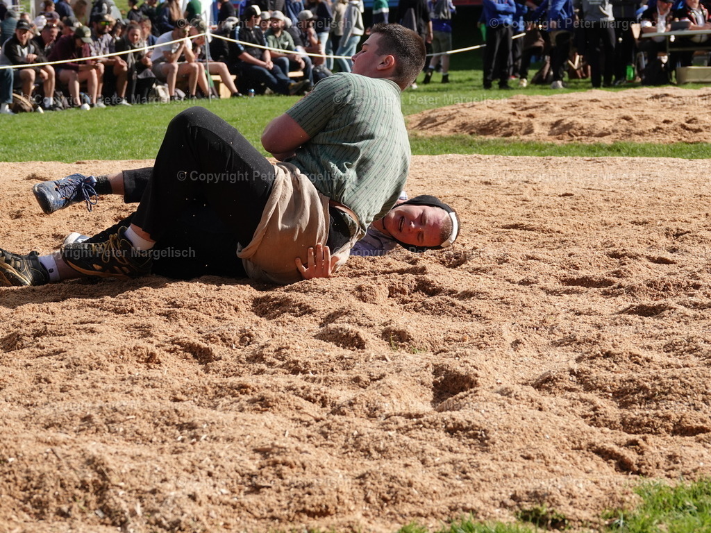 DSC07084 | Schwingen - Realisiert mit Pictrs.com