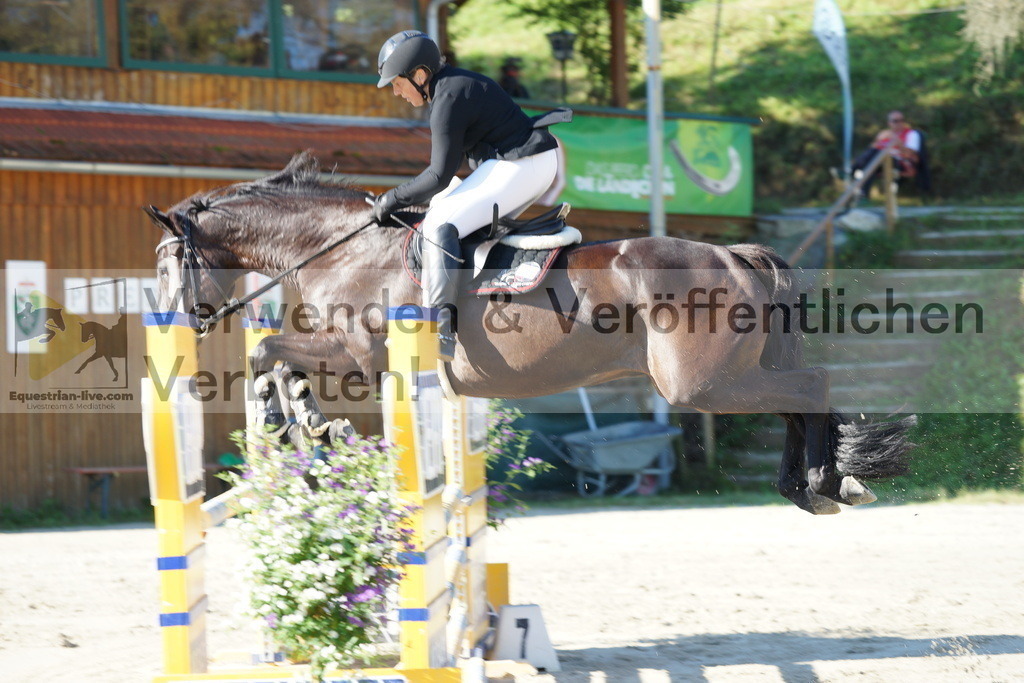 DSC02241 | equestrian-live-com