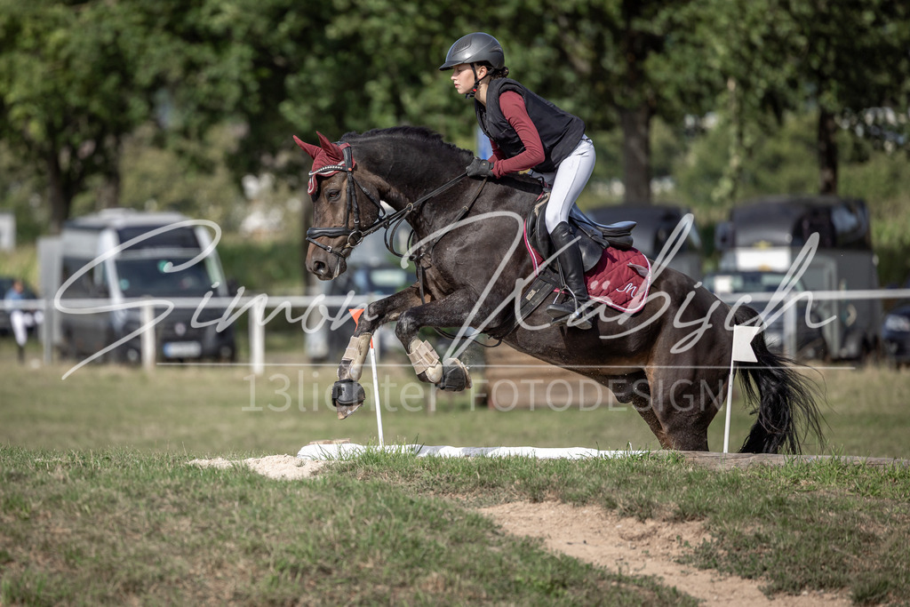 20250907-_3LI9412 | Tierfotografie Pferde, Hunde, Katzen, Haustiere.
Turnierfotografie Reitturniere, Reiten, Springreiten, Dressur in Hanau, dem Main-Kinzig-Kreis und dem Rhein-Main- Gebiet um Frankfurt