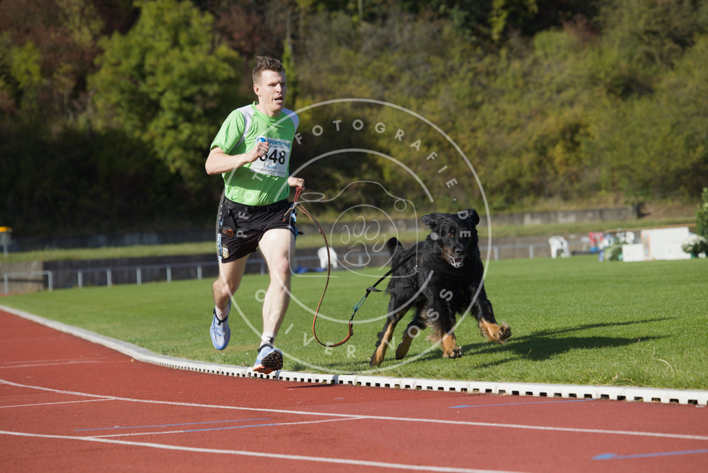 0L8A9433 | Hundefotografie, Tierfotograf, Pfotenfotografie, Fotoshooting Hund, Hunde Portrait, Hundesport, Hundeportraits, Heideshooting, Hunde, Sportfotograf, Hundefotograf, Turnierhundsport, THS,  - Realisiert mit Pictrs.com