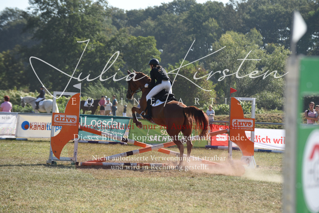 DSC_6042 | Pferde- und Turnierfotografie in Westsachsen. Pferdeportraits, Auftragszeichnungen und intuitive Kunst.