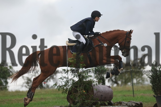 Altensteig_2024_Prfg.Nr.02_Geländepferdeprfg.Kl.A_Nicole Kühnapfel_Spotify 10 (7) | Alle Fotos der Reiterjournal Fotografin Doris Matthaes im Reiterjournal Online-Fotoshop. - Realisiert mit Pictrs.com