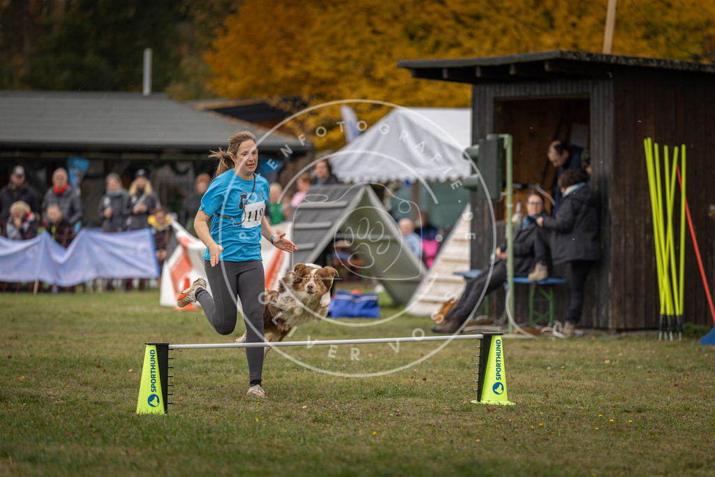 Pfotenfotografie_DV3A7312 | Hundefotografie, Tierfotograf, Pfotenfotografie, Fotoshooting Hund, Hunde Portrait, Hundesport, Hundeportraits, Heideshooting, Hunde, Sportfotograf, Hundefotograf, Turnierhundsport, THS,  - Realisiert mit Pictrs.com
