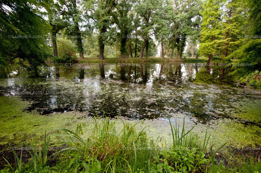 100494-4258 - Schlosspark Krumke | Stockfoto und Bilderpool mit Bildmaterial aus Deutschland, dem Harz, Halberstadt, Quedlinburg, Wernigerode und weltweit. Qualitativ hochwertige und professionelle Fotos anschauen und kaufen. - Realisiert mit Pictrs.com