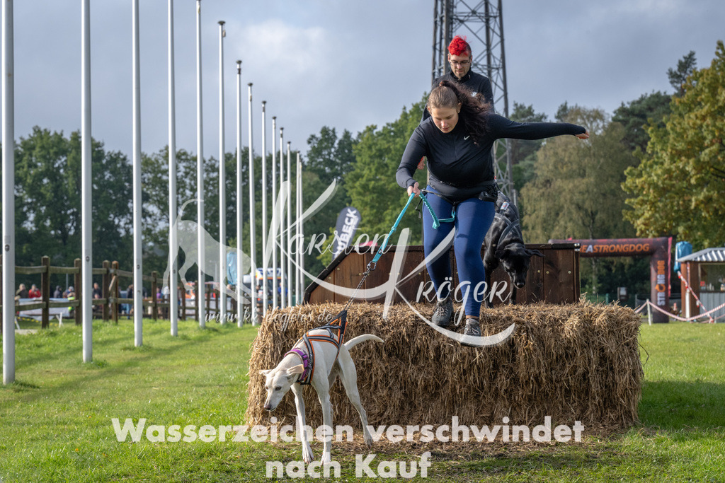 1419-94753 | kk-dogfotos