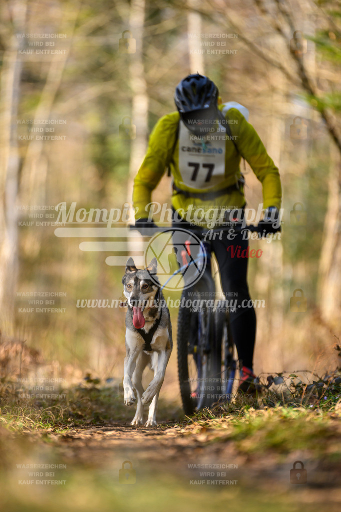 MompixPhotography_6ReiatRennen2026_SO_Scooter-35 | PayLife