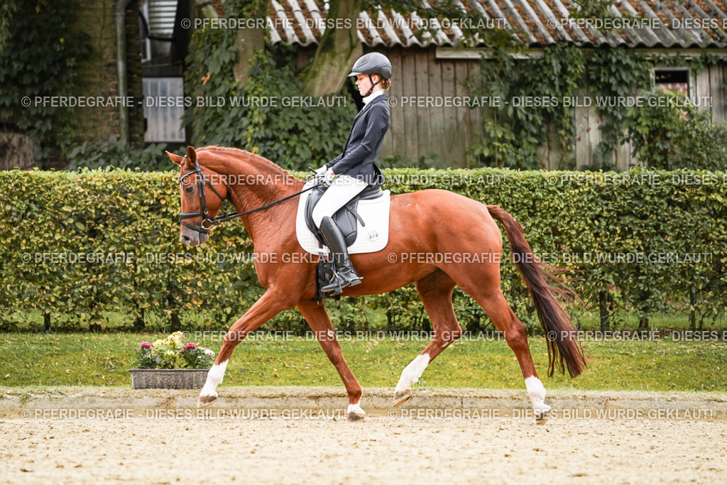 DSC07550 | Pferdegrafie