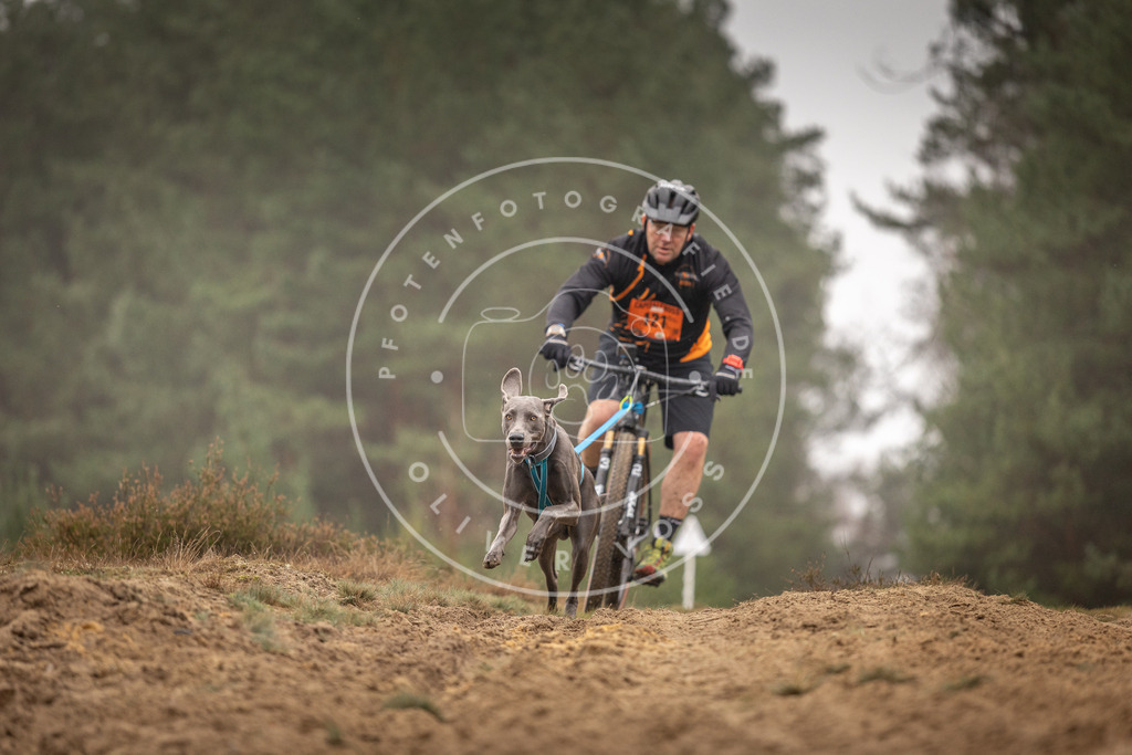 Pfotenfotografie_DV3A3509 | Hundefotografie, Tierfotograf, Pfotenfotografie, Fotoshooting Hund, Hunde Portrait, Hundesport, Hundeportraits, Heideshooting, Hunde, Sportfotograf, Hundefotograf, Turnierhundsport, THS,  - Realisiert mit Pictrs.com