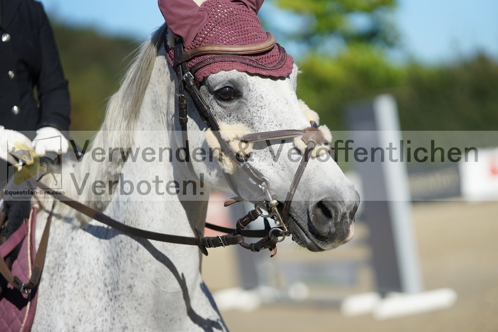 DSC08289 | equestrian-live-com