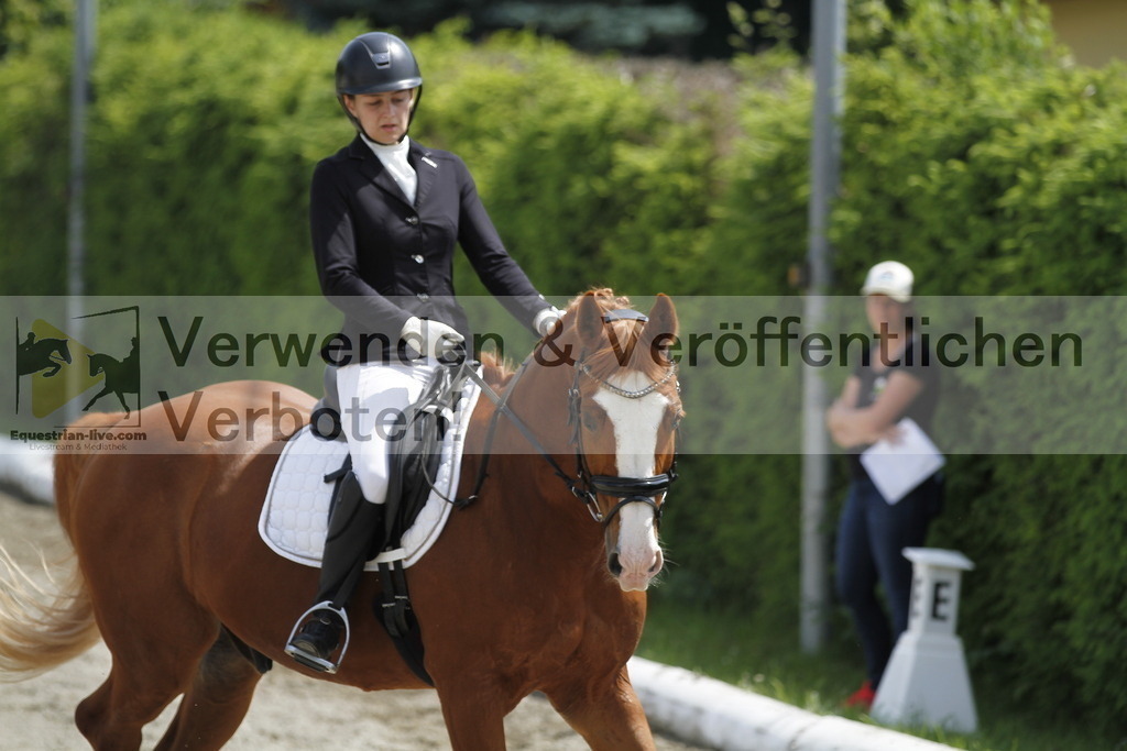 _MG_8648 | equestrian-live-com