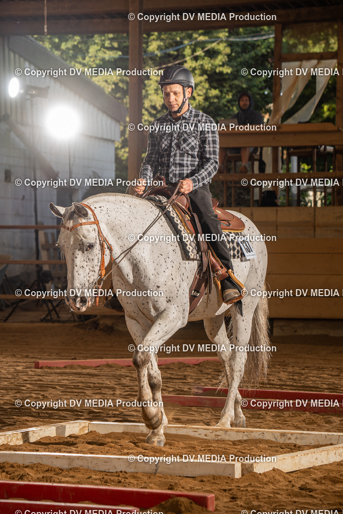 NID02480 | dv-media-shop - Realisiert mit Pictrs.com