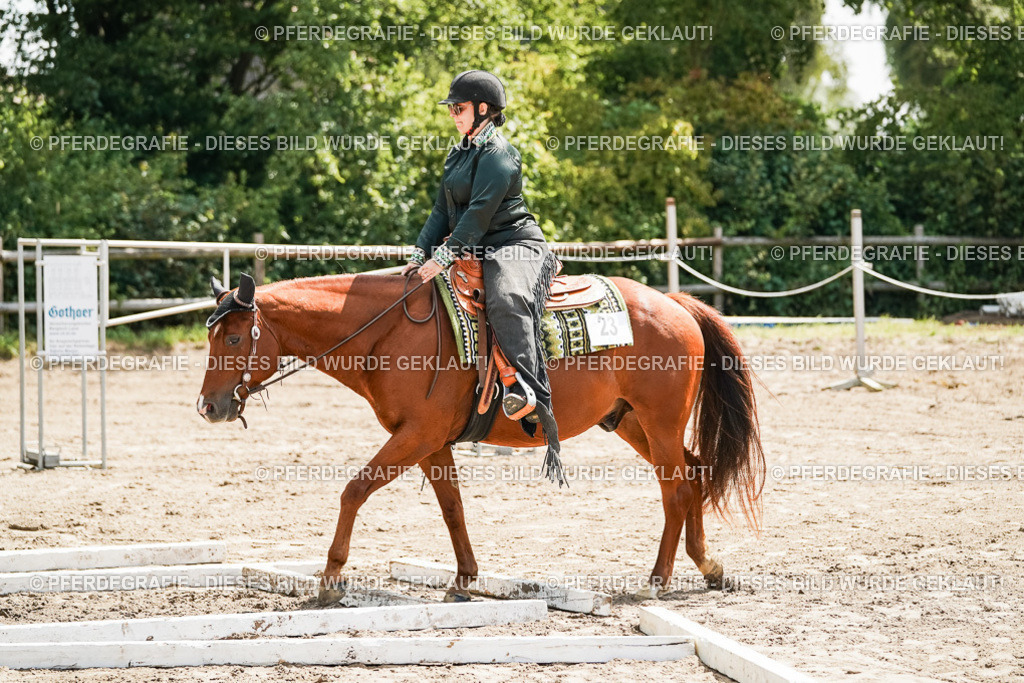 DSC06442 | Pferdegrafie