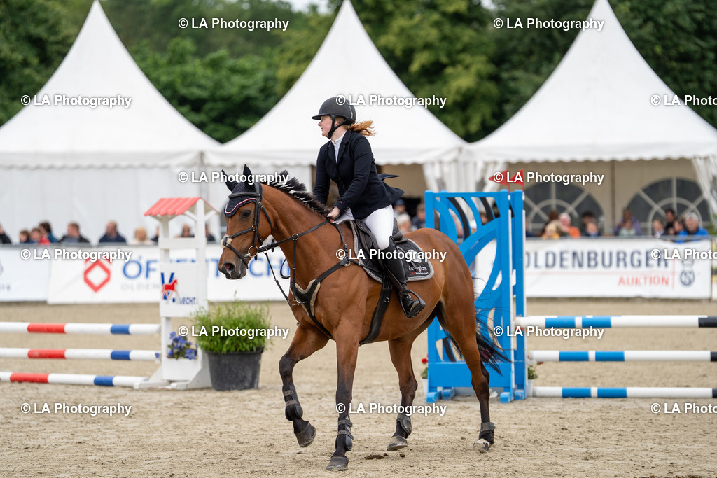 DSC07696 | Entdecke einzigartige Turnierfotos und persönliche Pferde- und Hundeportraits bei LA Photography. Für jeden Reiter und Pferd das perfekte Bild! Stöbere jetzt! - Realisiert mit Pictrs.com