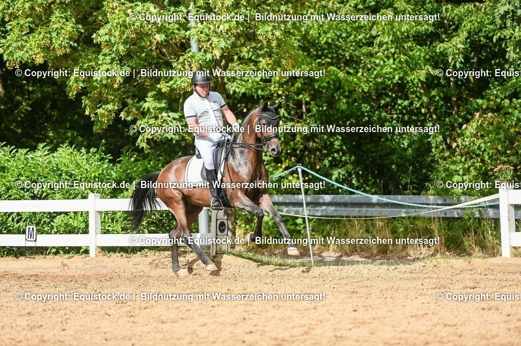 20230716_01_Dressurprüfung Kl.M_0562 | equistock