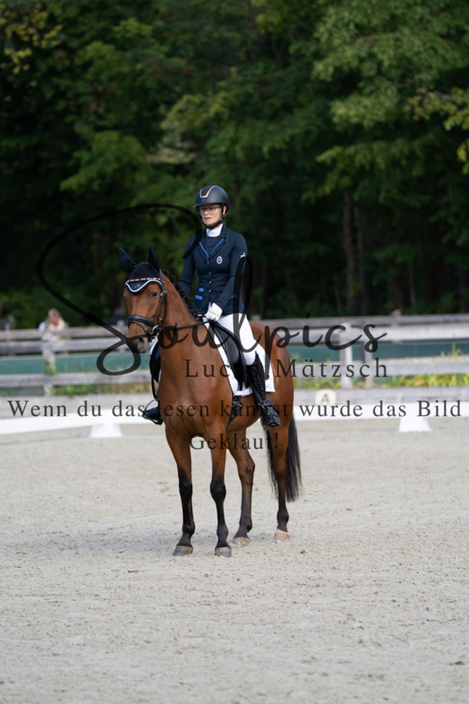 A7V06853 | Turnier/Reitfotograf
