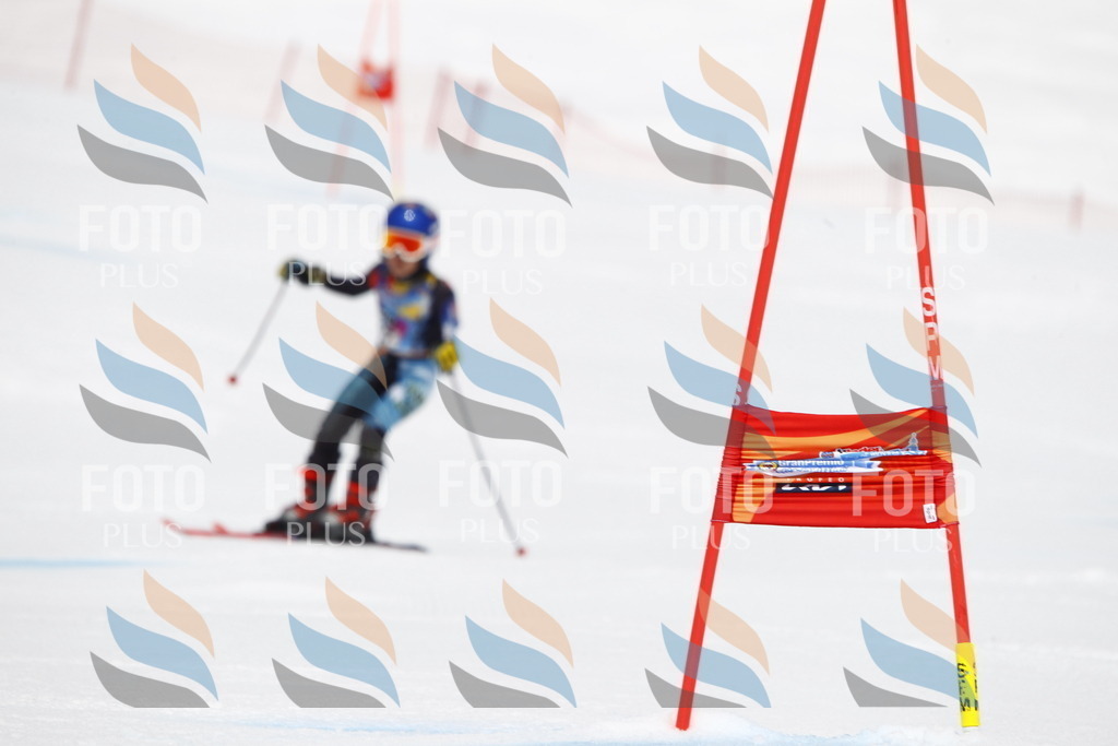 _U3G6937 | holidayphoto