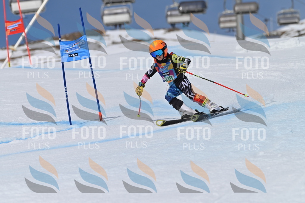 BGV_6697 | holidayphoto