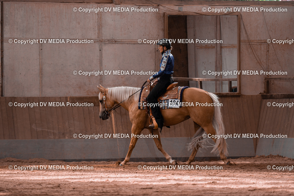 NE100432 | dv-media-shop - Realisiert mit Pictrs.com