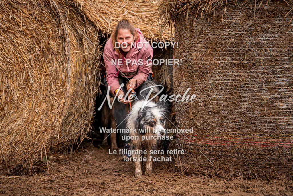 nelerasche_Hunsrück_So11-12_07 | nelerasche