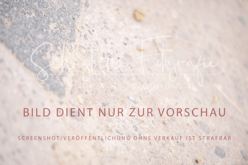 Schugtsche-Aluta25-40.DressurprfA_-484 | Schugtsche Fotografie - Realized with Pictrs.com