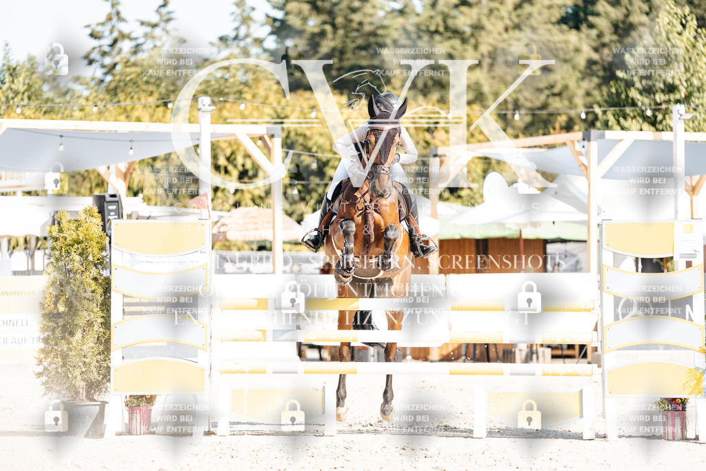 CK902231 | Turnierfotografie Pferdefotografie Trier Rheinland-Pfalz Pferdesport Reitsport Tierfotografie Sportfotografie Pferdevideo Pferdevideografie Equestrianvideography equestrianphotography  - Realisiert mit Pictrs.com