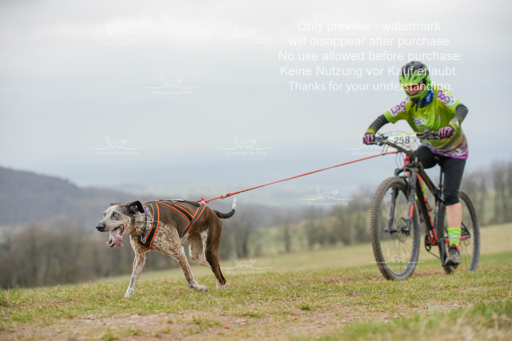 BikeSA-341 | stephaniefillaphotographie - Realisiert mit Pictrs.com