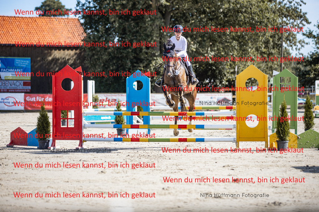 BK1A7037 | Turnierbilder Turnierfotos Nina Hüffmann Turnierfotografie Pferdefotografie Tierzeichnung Haustierzeichnung Pferdezeichnung Hundezeichnung Videograf  - Realisiert mit Pictrs.com