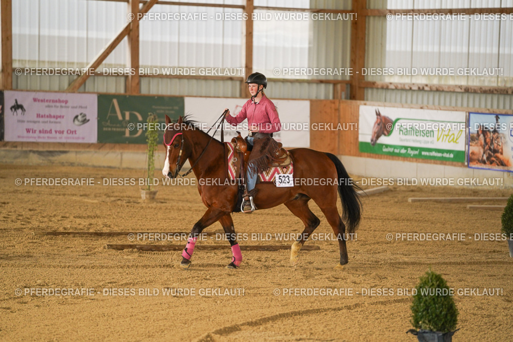 DSC05888 | Pferdegrafie