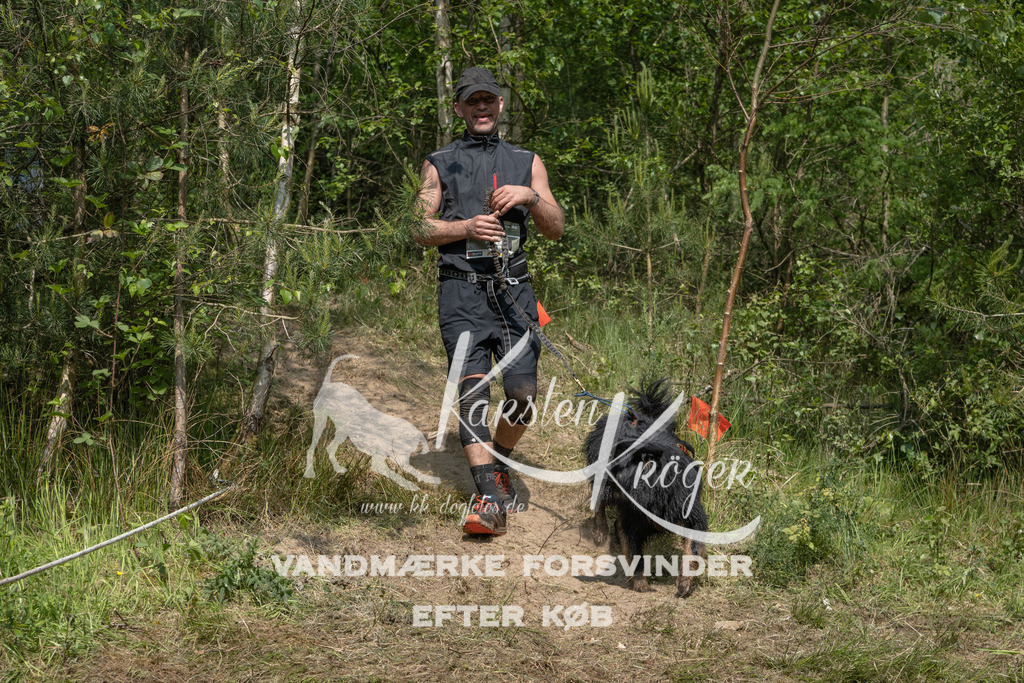 1036DKK991043 | kk-dogfotos