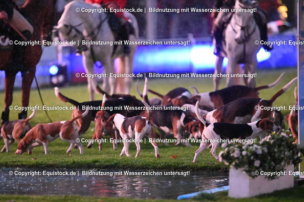 20240517_Lange-Pferdenacht_0502 | Foto: Thomas Hartig