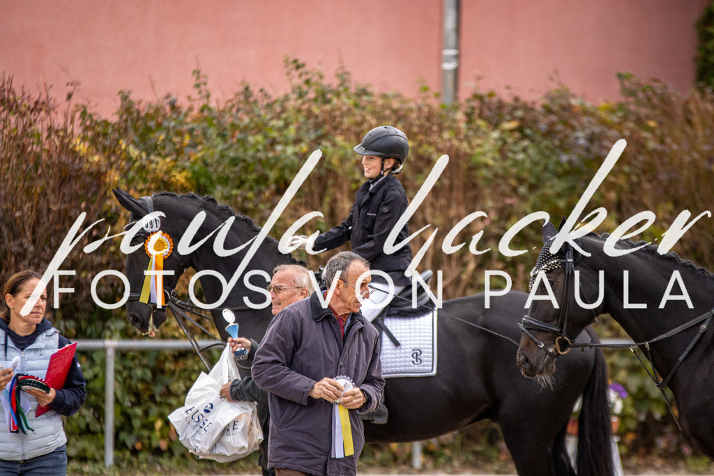 IMG_3723 | Erleben Sie dynamische Sport- und emotionale Tierfotografie in Süddeutschland mit Fotos von Paula. Spezialisiert auf Pferde- und Hundefotografie sowie Sportevents. Kontaktieren Sie mich für einzigartige und ausdrucksstarke Bilder Ihrer besonderen Momente.