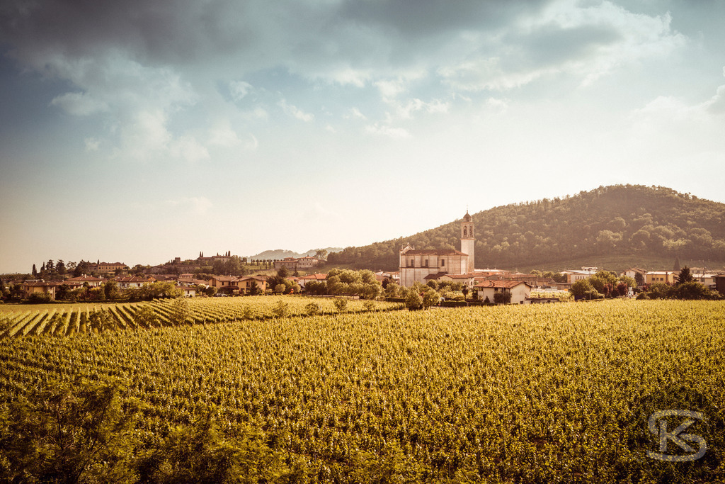 Historischer Ort im Iseosee-Gebiet, umgeben von Weinbergen | Ein stimmungsvoller Blick auf einen charmanten historischen Ort in der Region Iseosee in Italien. Das Bild zeigt ausgedehnte Weinberge im Vordergrund, eine markante Kirche und traditionelle Gebäude, eingebettet in die Hügellandschaft mit dem Monte Isola im Hintergrund. Die Szene fängt die warme Atmosphäre der Region ein. - Realisiert mit Pictrs.com