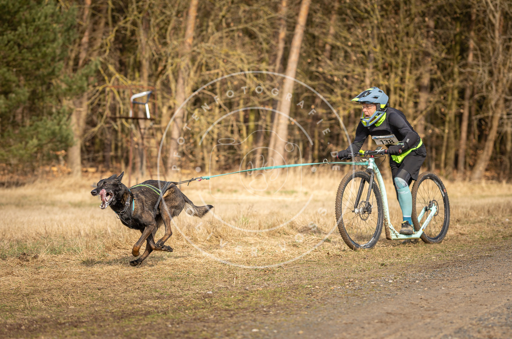 DV3A4720 | Hundefotografie, Tierfotograf, Pfotenfotografie, Fotoshooting Hund, Hunde Portrait, Hundesport, Hundeportraits, Heideshooting, Hunde, Sportfotograf, Hundefotograf, Turnierhundsport, THS,  - Realisiert mit Pictrs.com