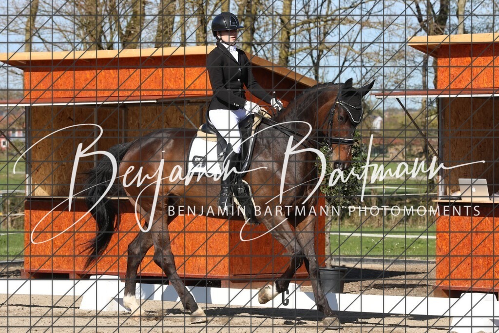 AZ2A6322 | Benjamin Bartmann Photomoments