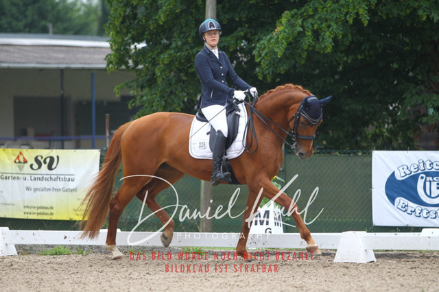 DKP40073 | Turniersportfotografie; Pferdefotografie; Dressurfotografie