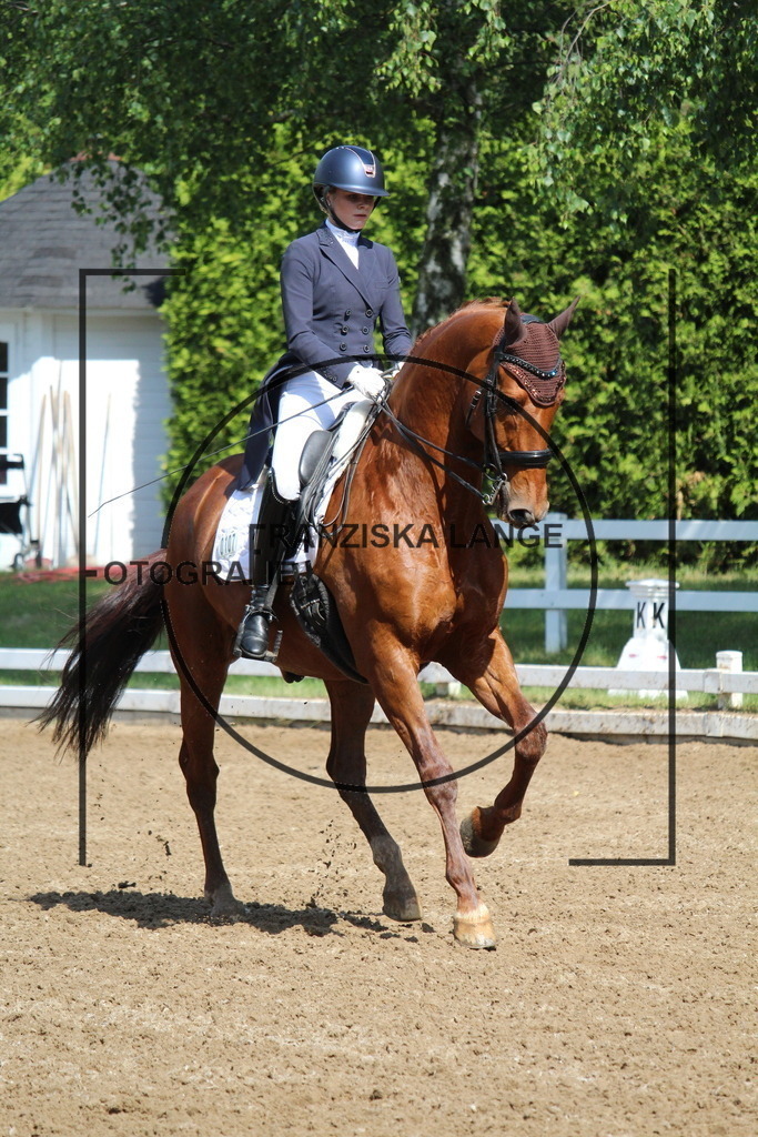 IMG_7056 | franziskalange - Realisiert mit Pictrs.com