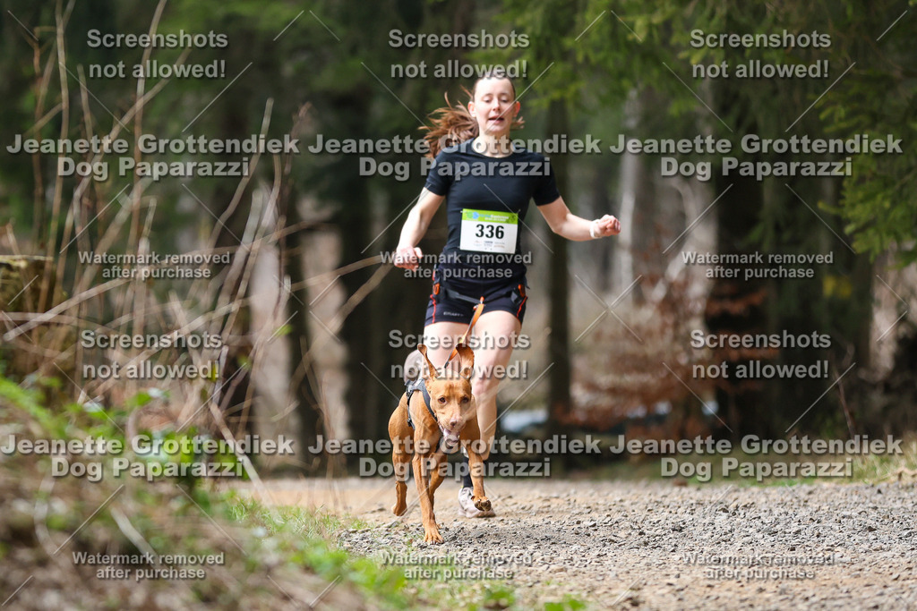 Dog Paparazzi - VCC26-490 | Dog Paparazzi Jeanette Grottendiek Fotografie & Videografie - Realisiert mit Pictrs.com
