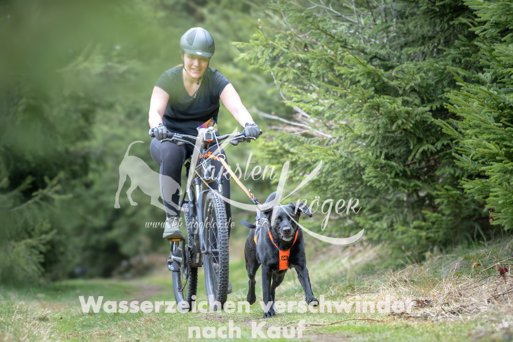 1309_ZZ93730 | kk-dogfotos