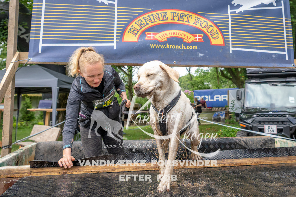 1029_ZZ90890 | kk-dogfotos