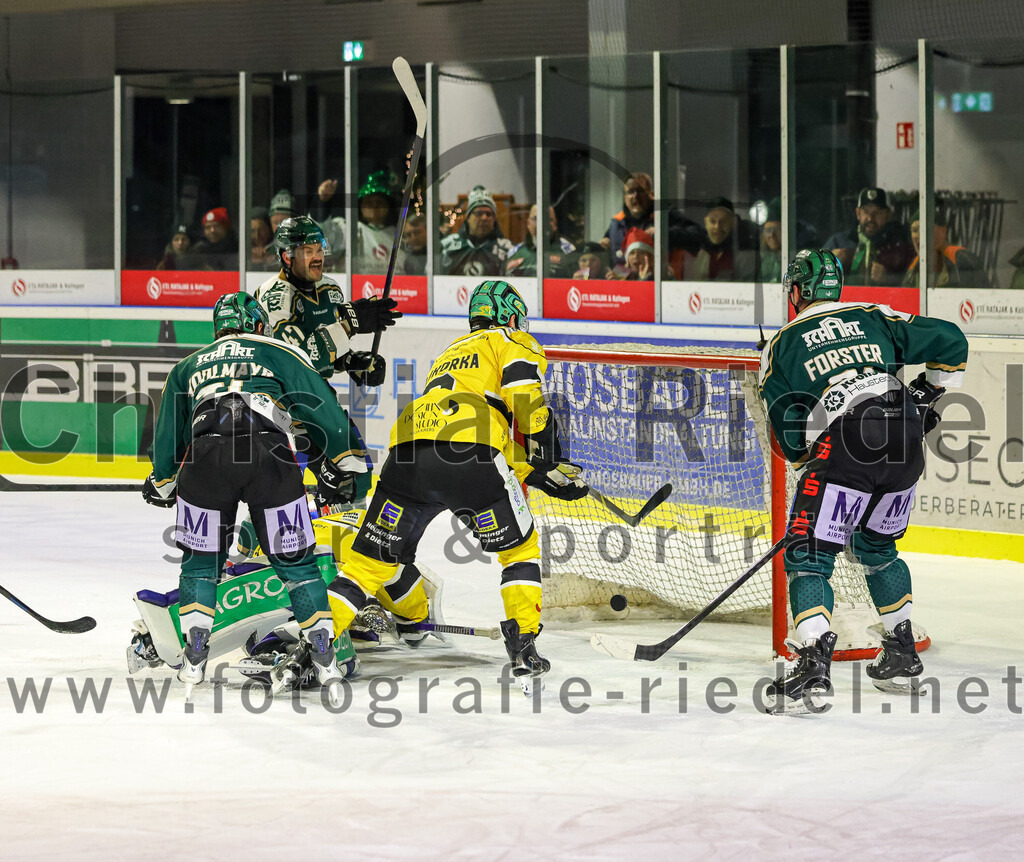 2025-12-19_115_TSV_Erding_gegen_Toelzer_Loewen | Erding, Deutschland, 19.12.2025:Eishockey, Oberliga Süd 2025 / 2026, 27. Spieltag, TSV Erding gegen Tölzer Löwen, Endergebnis: 2:5Erik Modlmayr (Erding Gladiators, #21), Marco Pfleger (Erding Gladiators, #47), Torwart Matthias Bittner (Tölzer Löwen, #32), Maximilian Forster (Erding Gladiators, #81)Foto: Christian Riedel / fotografie-riedel.net