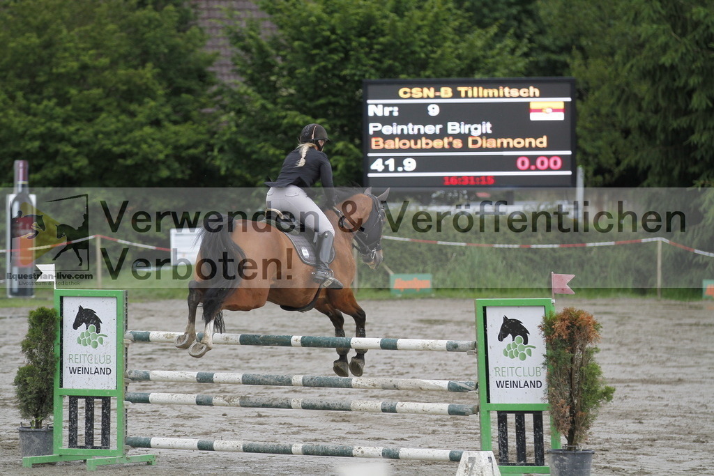 _MG_6420 | equestrian-live-com
